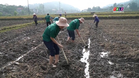 Giảm nghèo thực chất và bền vững vùng đồng bào dân tộc thiểu số