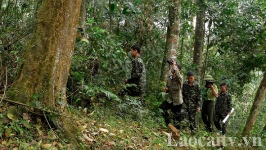 Chủ động phòng cháy, chữa cháy rừng từ cơ sở