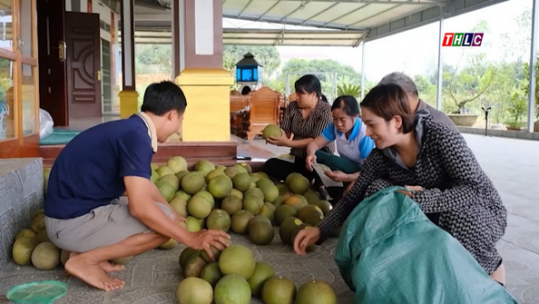 Đưa thương hiệu bưởi Múc đến người tiêu dùng