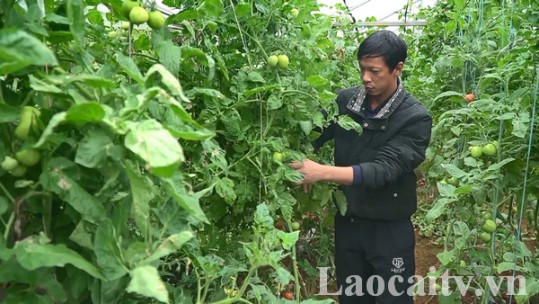 Làm giàu từ mô hình sản phẩm nông nghiệp sạch