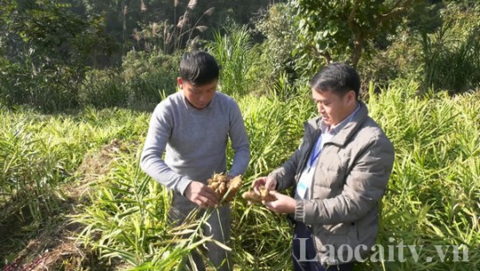 Đổi thay ở lõi nghèo Nậm Chày