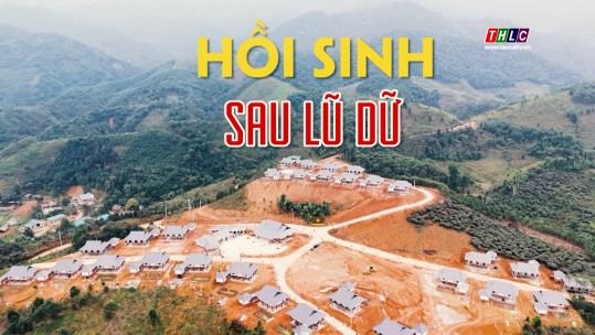 Phim tài liệu: Hồi sinh sau lũ dữ