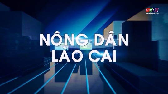 Kết đoàn: Nông dân Lào Cai: Những 