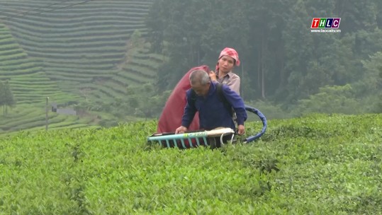 Bản tin Tài chính - Thị trường (29/12/2024)