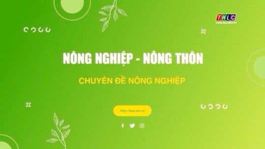 Nông nghiệp - Nông thôn tiếng Dao (30/12/2024)