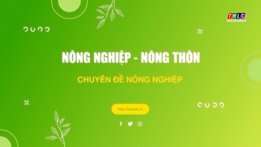 Nông nghiệp - Nông thôn (tiếng Mông) (31/12/2024)