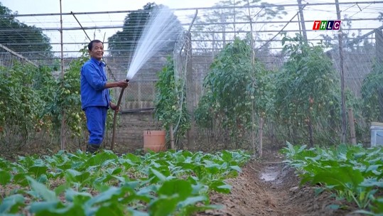 Lào Cai ngày mới (04/01/2025)