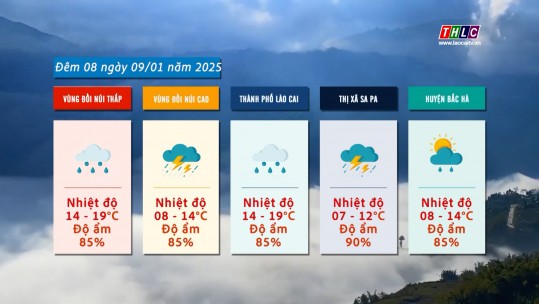 Dự báo thời tiết đêm 08 ngày 09/01/2025