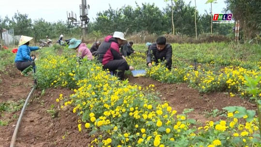 Lào Cai ngày mới (16/01/2025)