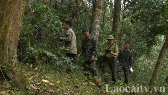 Tuyệt đối không được chủ quan, lơ là trong phòng, chống cháy rừng