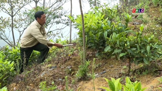 Gieo mầm xanh nơi đất khát