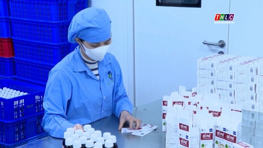 Phú Thọ: Doanh nghiệp đẩy mạnh sản xuất, kinh doanh đầu năm 2025