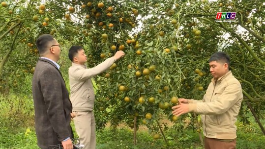 Tây Bắc chuyển động (23/01/2025)