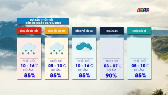Dự báo thời tiết đêm 29 ngày 29/01/2025