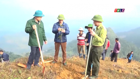 Lào Cai phát động “Phong trào Tết trồng cây Xuân Ất Tỵ và trồng rừng năm 2025”