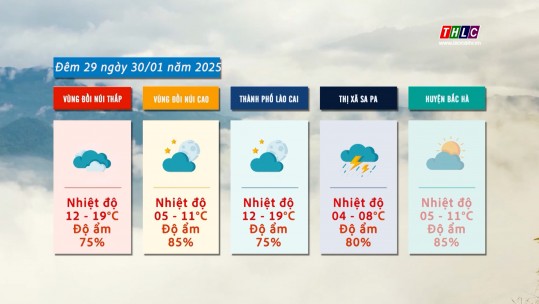 Dự báo thời tiết đêm 29 ngày 30/01/2025