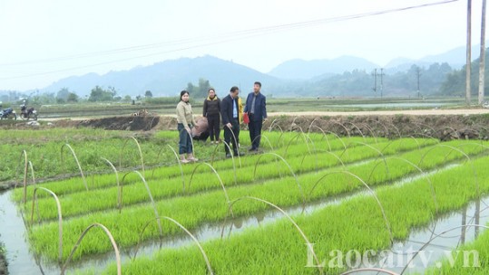 Kiểm tra tình hình sản xuất nông nghiệp đầu năm