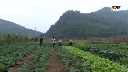 Đảng trong Cuộc sống: Học & Làm theo Bác (06/02/2025)