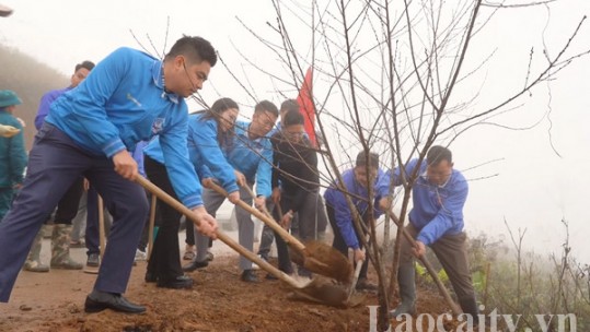 Tỉnh đoàn Lào Cai phát động Tết trồng cây “Đời đời nhớ ơn Bác Hồ”