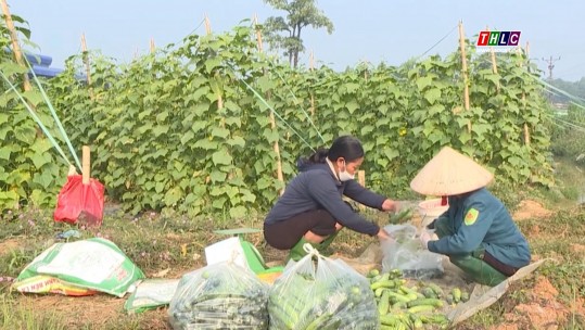 Tây Bắc chuyển động (07/02/2025)