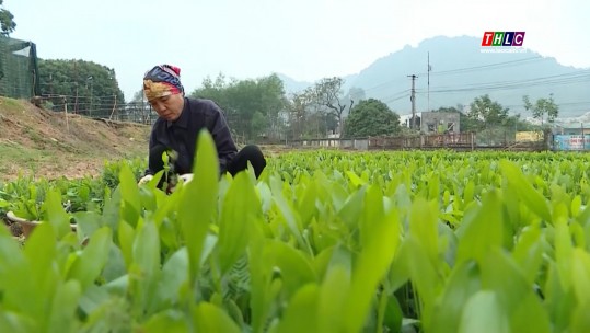 Tây Bắc chuyển động (09/02/2025)