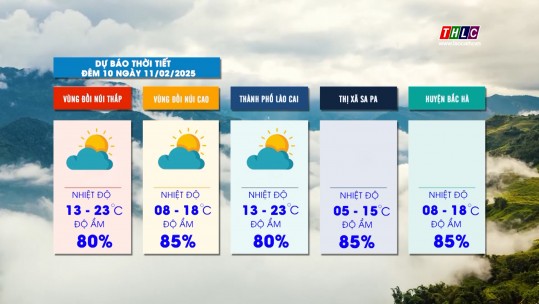 Dự báo thời tiết đêm 10 ngày 11/02/2025