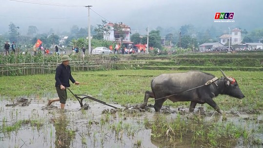 Thời sự Lào Cai 22h00 (10/02/2025)