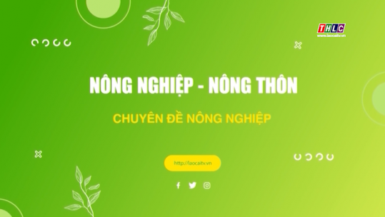 Nông nghiệp - Nông thôn (tiếng Dao): Nông nghiệp - Phát triển nông thôn (12/02/2025)