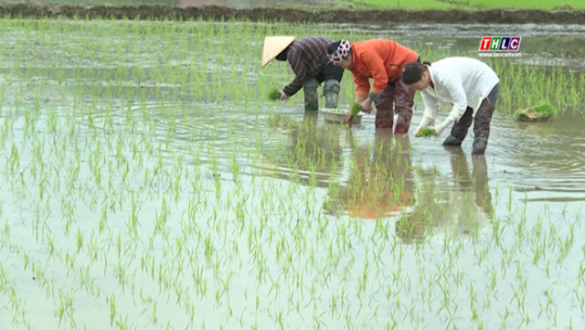 Đảm bảo nguồn nước tưới cho vụ xuân