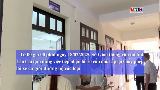 Tạm dừng tiếp nhận, giải quyết hồ sơ cấp đổi, cấp lại, tổ chức sát hạch, cấp giấy phép lái xe đường bộ