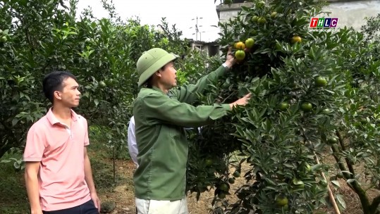 Tây Bắc chuyển động (15/02/2025)