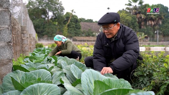 Tổ ấm hạnh phúc