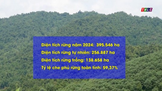 Công bố hiện trạng rừng tỉnh Lào Cai năm 2024