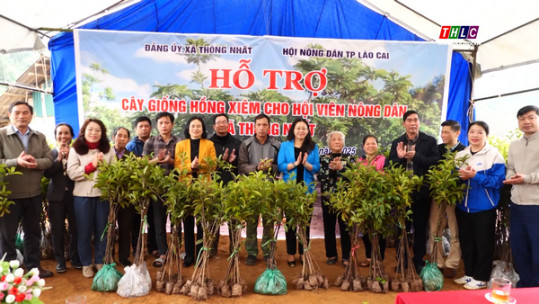 Tặng 1.300 cây giống hồng xiêm cho hội viên nông dân xã Thống Nhất