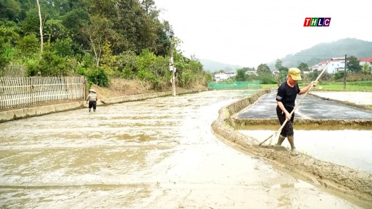 Vùng thấp Mường Khương bắt tay sản xuất vụ xuân