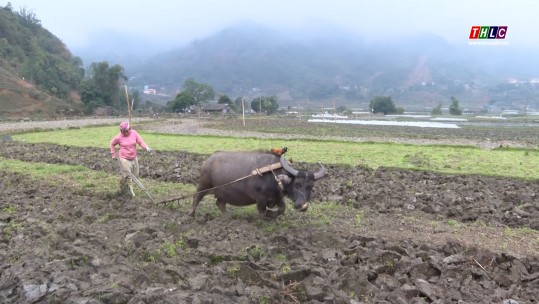 Lợi ích kép khi canh tác an toàn sinh học