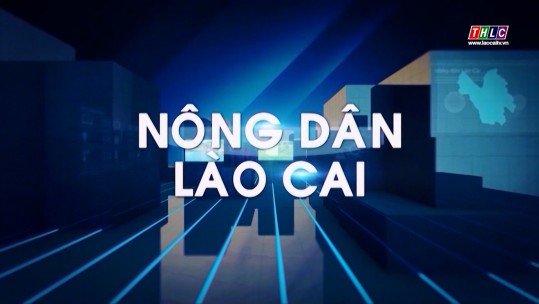 Kết đoàn: Nông dân Lào Cai (25/02/2025)