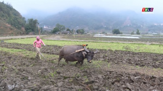 Dân tộc & Phát triển (25/02/2025)