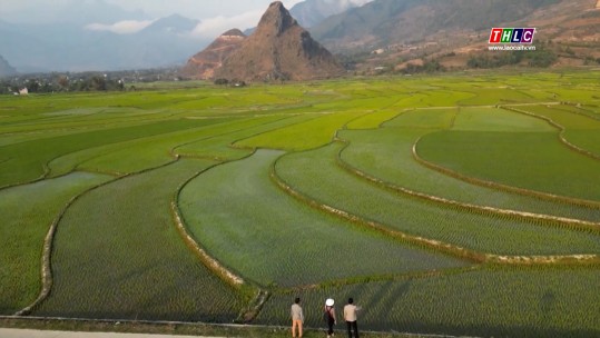 Tây Bắc chuyển động (26/2/2025)