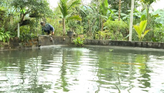 Lương Sơn phát triển cá đặc sản