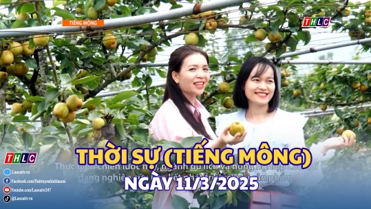 Thời sự (tiếng Mông) (11/3/2025)