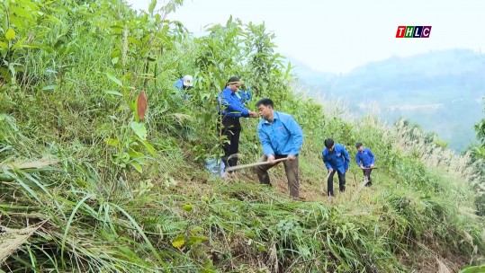 Thanh niên với sáng kiến vườn cây sinh kế