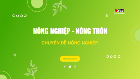 Nông nghiệp - Nông thôn (tiếng Dao): Nông nghiệp - Phát triển nông thôn (12/03/2025)