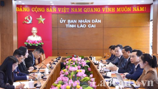 Tỉnh Lào Cai làm việc với Tập đoàn Xây dựng Thái Bình Dương