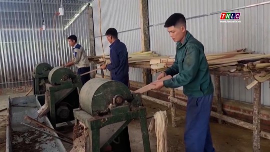 Toàn tỉnh có 84 dự án đầu tư vào lĩnh vực nông nghiệp