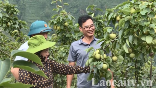 Định hình các vùng nông nghiệp sinh thái tại Lào Cai