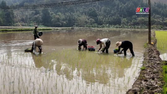 Dân tộc & Phát triển: Xây dựng Nông thôn mới ở vùng dân tộc thiểu số (18/3/2025)