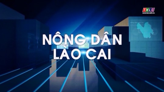 Kết đoàn: Nông dân Lào Cai: Hỗ trợ nông dân sản xuất, phát triển kinh tế hiệu quả (22/3/2025)