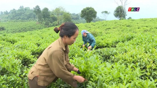 Điểm sáng trong thực hiện Nghị quyết 10