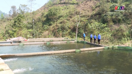 Dân tộc & Phát triển: Thanh niên dân tộc thiểu số Lào Cai thi đua phát triển kinh tế (25/3/2025)